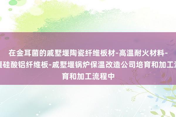 在金耳菌的戚墅堰陶瓷纤维板材-高温耐火材料-戚墅堰硅酸铝纤维板-戚墅堰锅炉保温改造公司培育和加工流程中