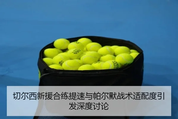 切尔西新援合练提速与帕尔默战术适配度引发深度讨论